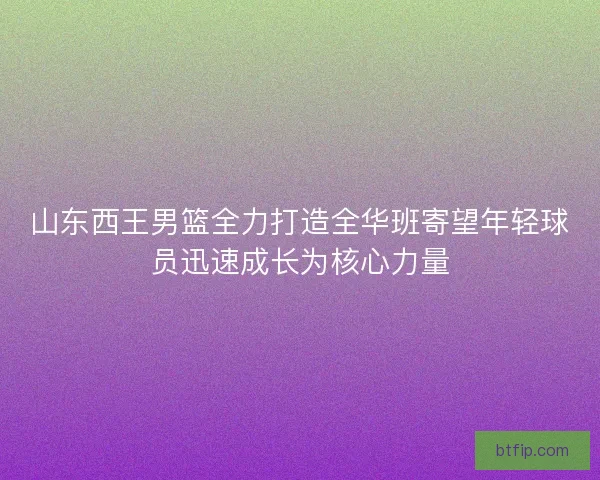 山东西王男篮全力打造全华班寄望年轻球员迅速成长为核心力量