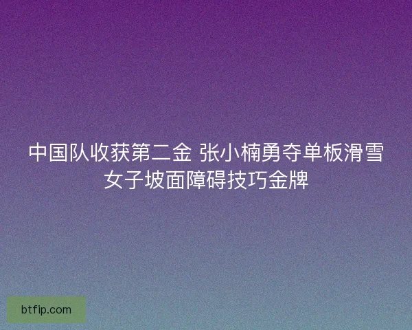 中国队收获第二金 张小楠勇夺单板滑雪女子坡面障碍技巧金牌